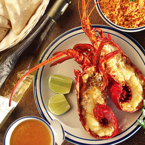 Saborear una rica langosta – ROSARITO, GASTRONOMÍA